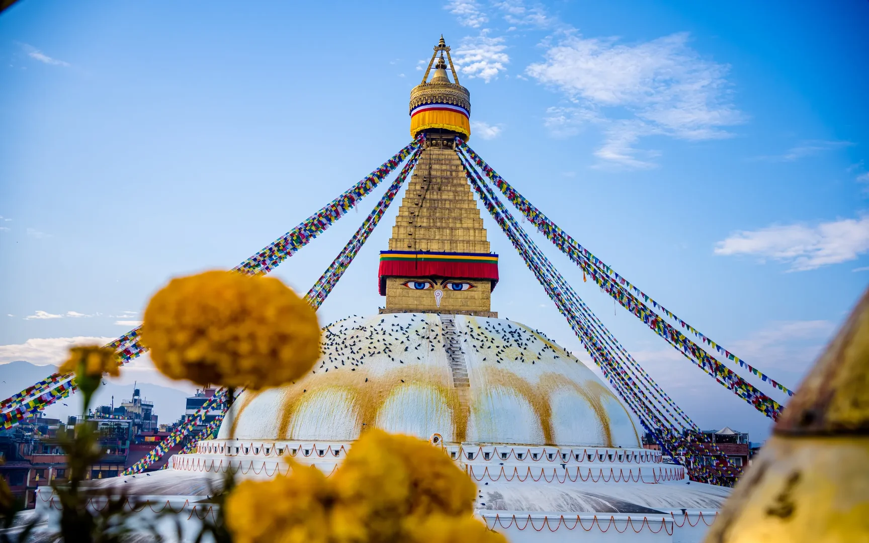 Nepal Discovery in a Regenerative Way